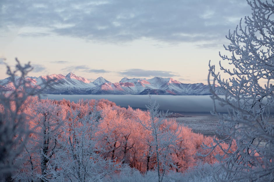Anchorage, United States