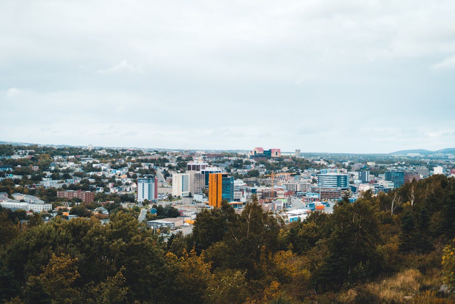 A panoramic view captures a city's skyline with a blend of architecture and lush green trees.