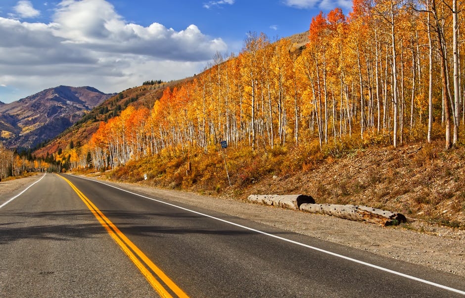 Vibrant autumn scene of a road lined with golden aspen trees in a mountainous landscape.