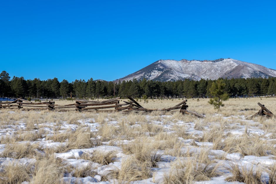 Flagstaff, United States