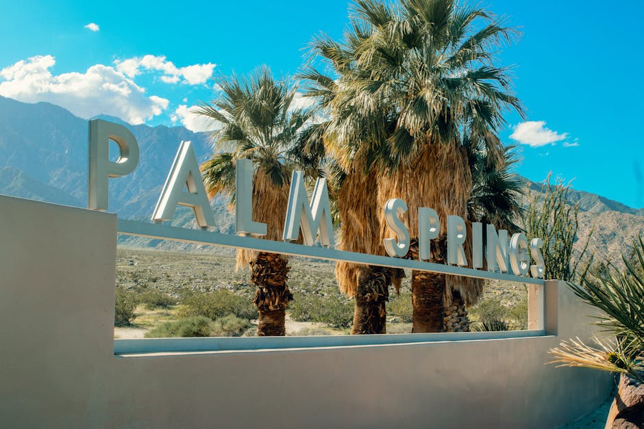 Vibrant Palm Springs sign with palm trees set against a mountain backdrop under a clear blue sky.